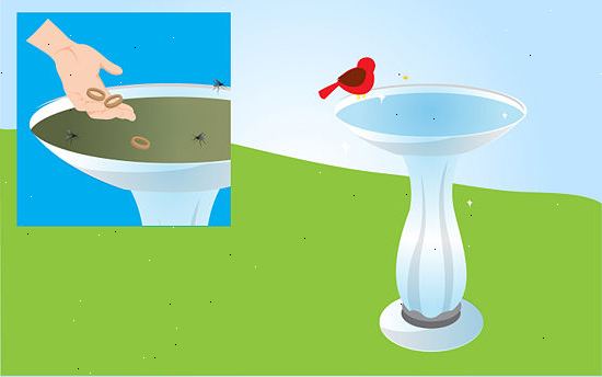 Hur kan man minska risken för mygga angrepp runt din bostad. Kontrollera varvet efter objekt och områden som medger sammanslagning av vatten.