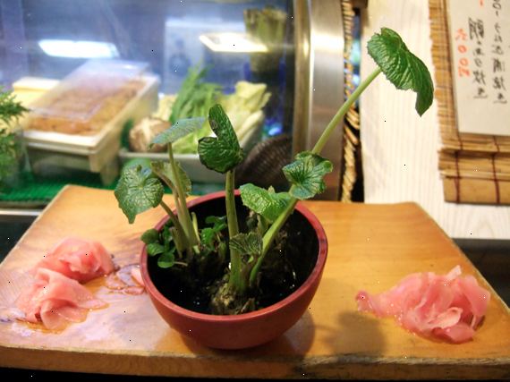 Hur att växa wasabi. Se till att du har ett område av jord som är väl dränerad och avlopp lätt.