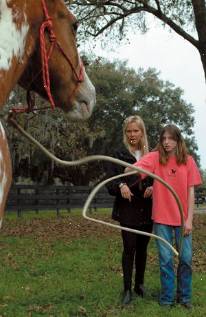 Hur du lär din häst att sluta bita. Få din häst från hagen, är det viktigt att du kontrollerar hästen innan du ens börjar rida.