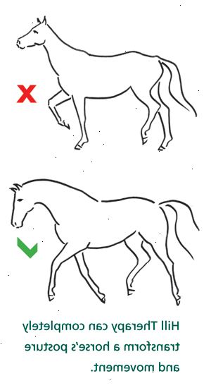 Hur får man en häst i form. Efter forska ett bra träningsprogram, skriva ut ett skräddarsytt program för din häst, en vecka i taget.