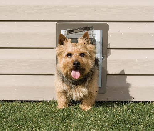 Hur man installerar ett husdjur dörr eller hund dörr. Pet portar och portar hund som monterar i skjutbara skärmen dörren är oftast installeras i nedre vänstra eller högra hörnet av skärmen dörren beroende på hur din altandörr öppnas.