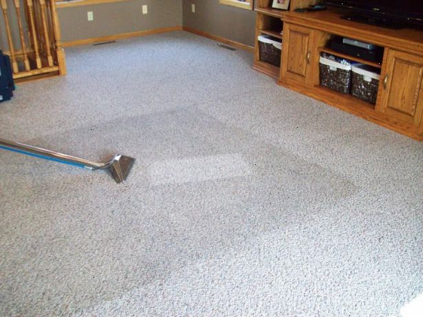 Hur ånga ren matta. Kontrollera mattan och Rug Institute hemsida mattan-matta.