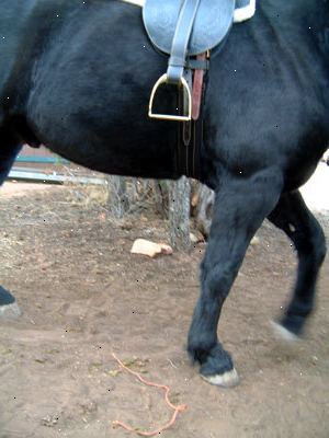 Hur får din häst att stå stilla för montering. Var medveten om att om din häst uppför sig illa när de monterats, han förmodligen inte gillar är monterade och / eller ridit.