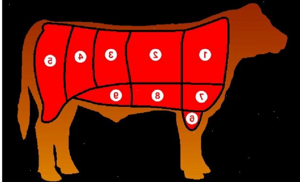 Hur förstå styckningsdelar av nötkött. Identifiera de 8 främsta styckningsdelar vars kött är tillgänglig.