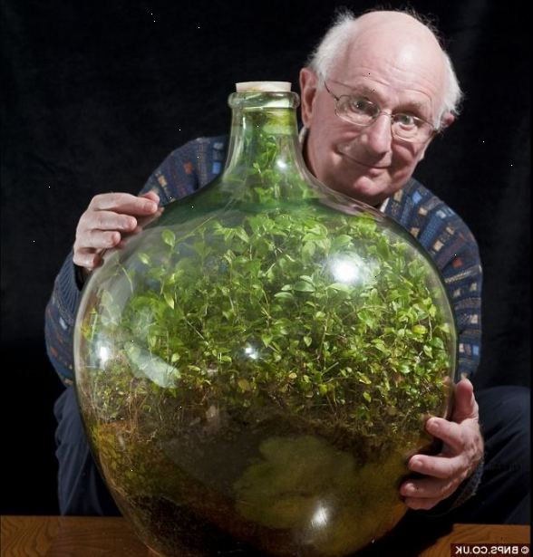 Hur man odlar en trädgård i en flaska. Vänd flaskan på sin sida.