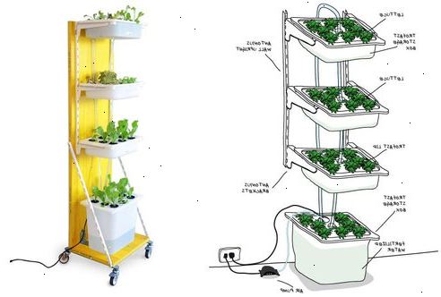Hur man bygger en hydrokultur trädgård. Bestäm vad du vill växa.