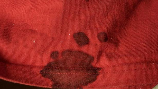 Hur tar man bort blodfläckar från kläder. Så fort du märker att objektet har färgats, blöt i kallt saltvatten eller väteperoxid.