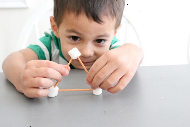 Hur du ger marshmallow testet. Ställ ditt barn upp i ett område med en stol, ett bord, och en marshmallow.
