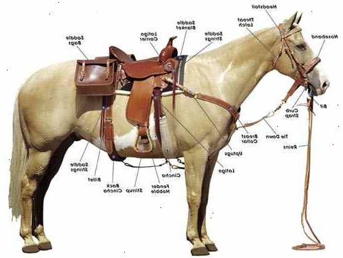 Hur man please upp en häst. Bind din häst med sliprar, eller om du måste, på en hitching.