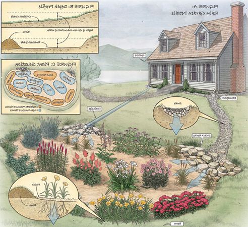 Hur man skapar ett regn trädgård. Hitta en lämplig plats för din trädgård.