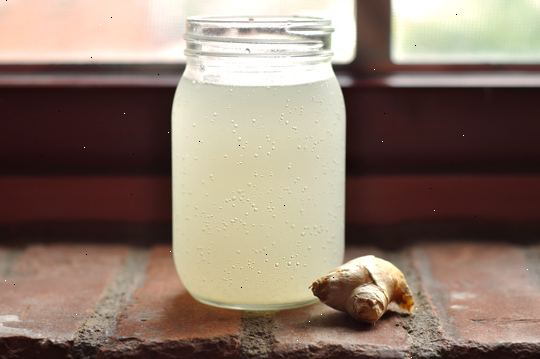 Hur man gör ginger ale. Tillsätt 1 kopp socker till en flaska genom ett torrt tratt.
