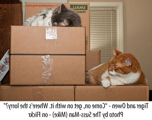Hur man flyttar med en katt. Begränsa din katt i ett rum medan du får allt redas ut, t.ex., förpackning, möbler flyttar, osv.