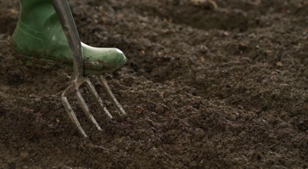 Hur förbereda marken för en trädgård. Provsmaka jordmaterial.