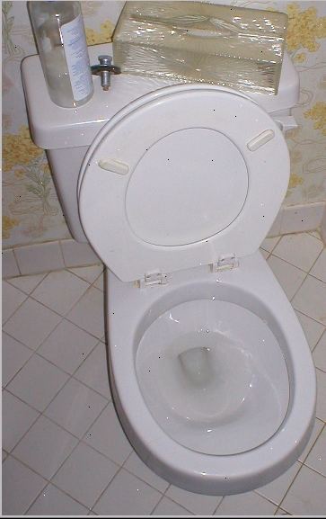 Hur att rengöra metall märken utanför en porslin toalett. Stäng av vattentillförseln till toaletten, sedan spola toaletten.
