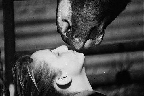 Hur du lär en häst att kyssa. Är din häst säkert att träna för att kyssa?