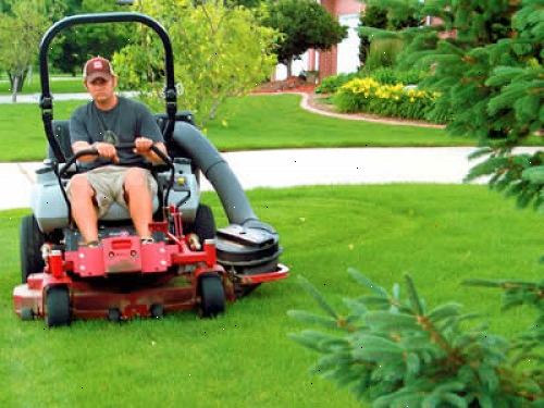 Hur att klippa en gräsmatta professionellt. Kontrollera att gräsklipparen är rätt höjd.