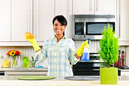 Konsten att njuta av rengöring ditt hem. Glöm att du måste fylla i en viss del av hushållsarbetet i någon tid.