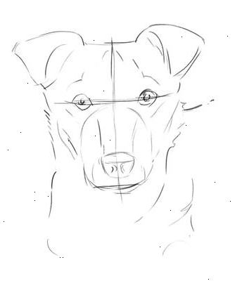 Hur man ritar en hund ansikte. Rita en cirkulär form och två öron.
