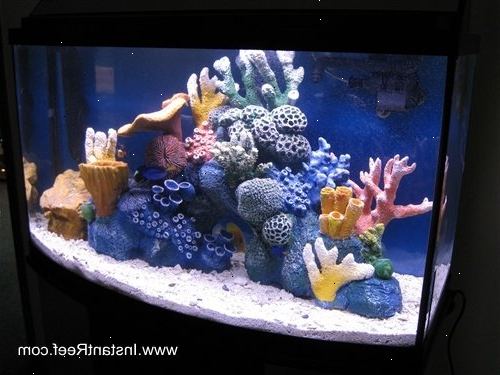 Hur man ställer in en marin korallrevsakvarium. Markera den del av huset där du vill att tanken ska vara.