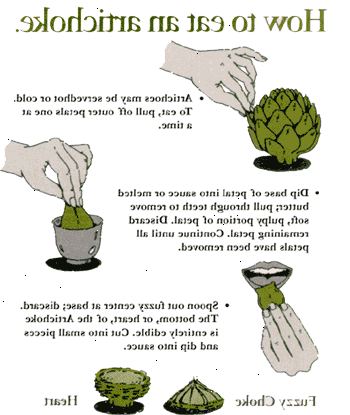 Hur man äter en kronärtskocka. Skär av vassa blad tips med en kronärtskocka kniv eller sax.