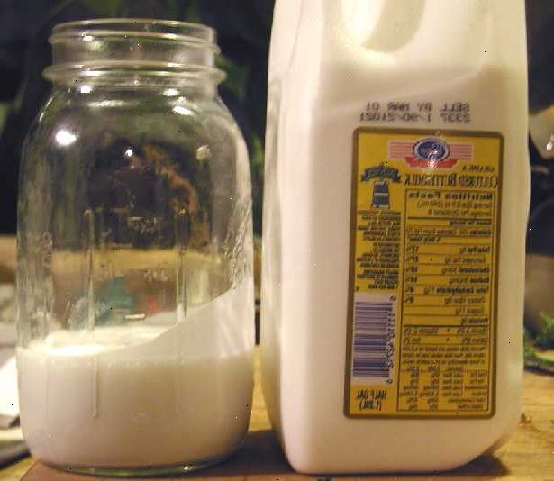 Hur man gör odlade kärnmjölk. Lägg en bakteriell starter på 6 till 8 gram aktiv färska odlade kärnmjölk till en ren Quart burk.