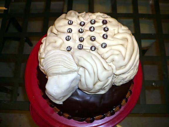 Hur man gör en anatomiskt korrekt hjärna tårta. Välj en illustration som ditt mönster.