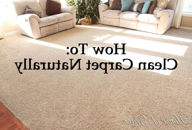 Hur att rengöra dina mattor. Blanda lite rengöringsmedel pulver tvätt med lite vatten och använd sunt förnuft med hur mycket du blandar.