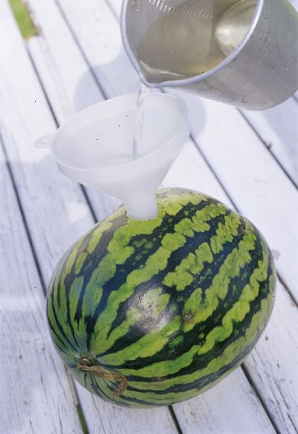 Hur man gör en vodka vattenmelon. Få de nödvändiga förnödenheter.