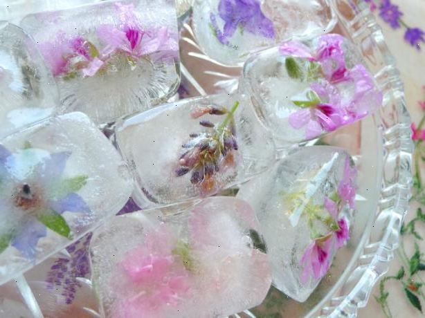 Hur man gör kuber blossom is. Samla och försiktigt skölja alla dina obesprutade blommor.