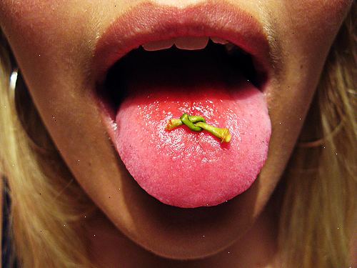 Hur man knyter en knut i en cherry stem med tungan. Välj en lämplig stam.