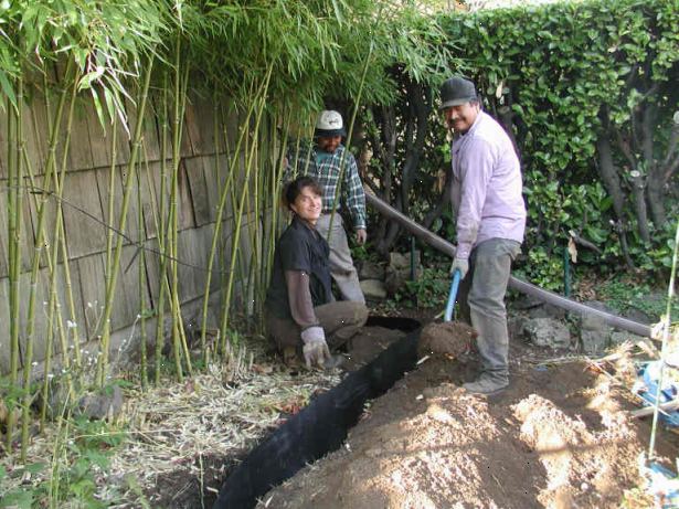 Hur man installerar en bambu rhizom barriär. Bestäm arean att innehålla bambu i.